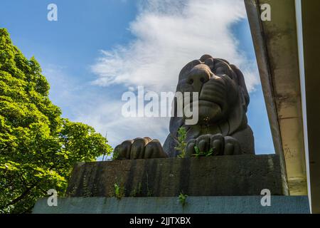 Eine der historischen Löwenstatuen unterhalb der modernen Straße über die Britannia Bridge, Anglesey, Nordwales Stockfoto