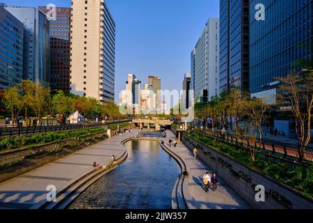 Südkorea, Seoul, Cheonggyecheon, 6 Kilometer lange Promenade, die 2005 eingeweiht wurde und entlang des Cheonggyecheon River verläuft Stockfoto