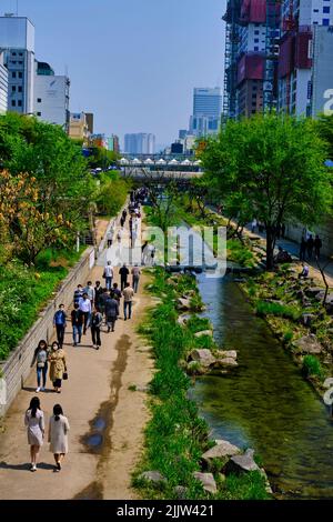 Südkorea, Seoul, Cheonggyecheon, 6 Kilometer lange Promenade, die 2005 eingeweiht wurde und entlang des Cheonggyecheon River verläuft Stockfoto