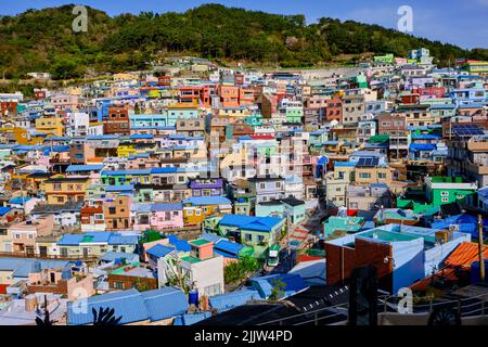 Südkorea, Provinz Süd-Gyeongsang, Busan, Bezirk Saha-gu, Kulturdorf Gamcheon, Rehabilitierte ehemalige Slum Stockfoto