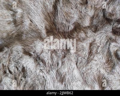 Eine Nahaufnahme aus braunem und weißem Rentierpelz Stockfoto