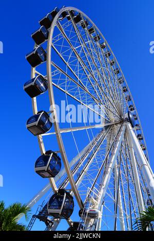 MIAMI, FL -18. MAI 2022 - Blick auf das Skyviews Miami Observation Wheel, ein Riesenrad im Bayside Marketplace in Miami, Florida, über die Bi Stockfoto