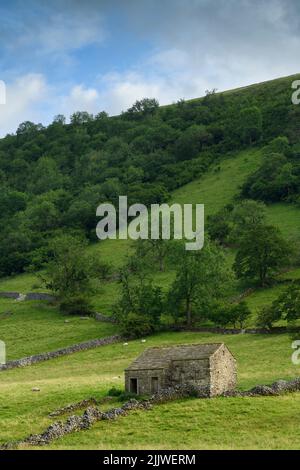 Wunderschöne Landschaft in Yorkshire Dales (alte Steinscheune, steiler Hügel, Hanglage, Trockenmauern, Weideland, Schafe) - Wharfe Valley, England Stockfoto