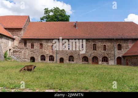 Klostergebäude und Wiese im Ilsenburg Harz Stockfoto