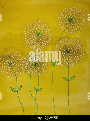 Dandelion auf goldenem Hintergrund. Die Dabbing-Technik in der Nähe der Kanten sorgt aufgrund der veränderten Oberflächenrauigkeit des Papiers für einen weichen Fokuseffekt. Stockfoto