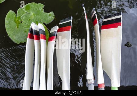 2022-07-27 17:37:00 AMSTERDAM - Holzrüder sind im Royal Amsterdamsche Roei- en Zeilvereeniging De Hoop aan de Amstel erhältlich. De Hoop, gegründet 1848, ist der älteste Amsterdamer Sportverein und der zweitälteste niederländische Ruder- und Segelclub. Das Clubhaus mit dem Club ist ein auffälliger Auftritt auf der Weesper-Seite der Amstel, die sich durch die Hauptstadt schlängelt. ANP NILLA BERRETTY-VAN LOENEN niederlande Out - belgien Out Stockfoto