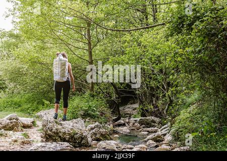 Lange Rückansicht der Frau mit Rucksack, der auf Felsen für Bach im Wald steht Stockfoto
