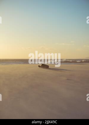 Zinn im Erdgeschoss, das auf trockenem Sand gegen das winkende Meer und den Sonnenuntergang am Venice Beach in Los Angeles, USA, gedumpt wird Stockfoto