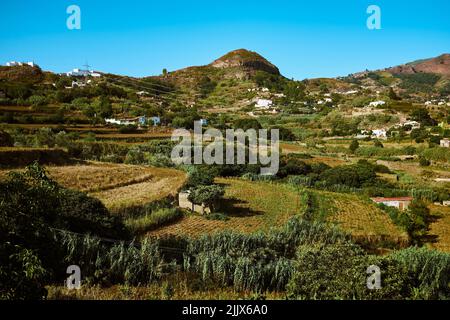 Landwirtschaftliche Plantagen in der Nähe von grünen Pflanzen und Gebäuden in ländlicher Umgebung mit Berg gegen blauen Himmel am sonnigen Sommertag Stockfoto