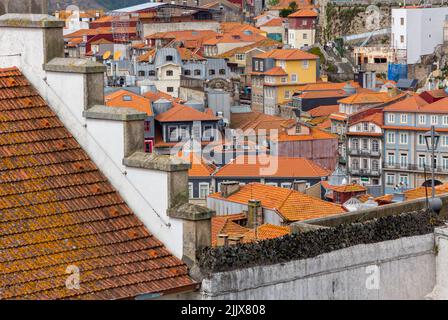 Blick über die Dächer auf Gebäude im Zentrum von Porto, einer bedeutenden Stadt im Norden Portugals. Stockfoto