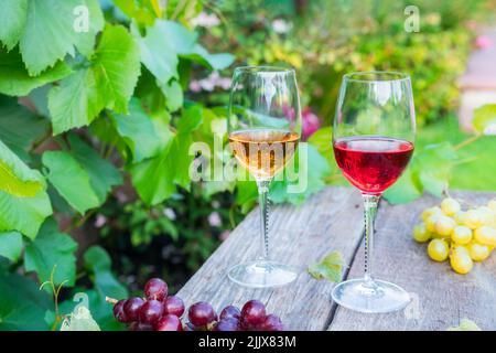 Gläser mit Weiß- und Rotwein und Traubenbeeren auf dem Holztisch in den Weinbergen, Weingut mit grünem Blatthintergrund. Weinprobe, Degustation Stockfoto