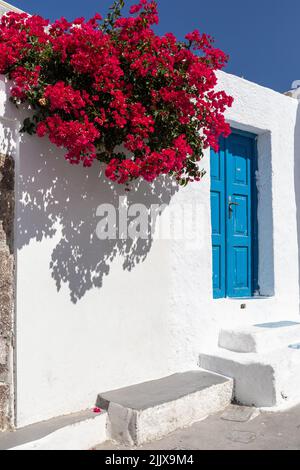 Tradition Griechische blaue Tür, weiß getünchtes Gebäude mit roten Blumen gegen einen blauen Himmel, Megalochori Dorf, Santorini, Kykladen Inseln, Griechenland, Europa Stockfoto