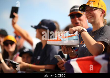 Publikum/Publikum auf der Strecke während des ungarischen GP, 28-31. Juli 2022 bei Hugaroring, Formel-1-Weltmeisterschaft 2022. Stockfoto