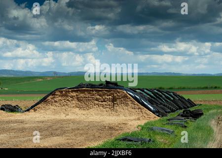 Silagehaufen, Auvergne-Rhones-Alpes, Frankreich Stockfoto