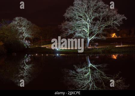 Zwei weiße, blattlose, flutbeleuchtete Bäume bieten ein wunderschönes Foto der Ruhe und Reflexion auf der glatten Seenoberfläche in RHS Gardens, Harrogate, Großbritannien. Stockfoto