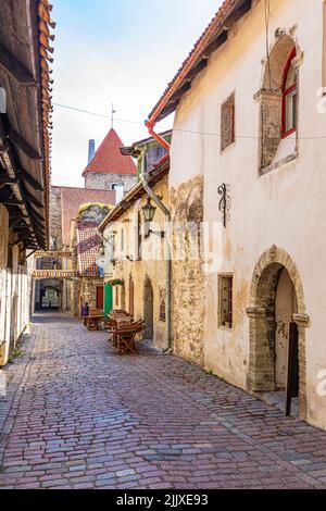 Katariina Käik in der Altstadt von Tallinn, der Hauptstadt Estlands Stockfoto