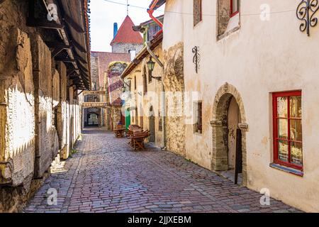 Katariina Käik in der Altstadt von Tallinn, der Hauptstadt Estlands Stockfoto