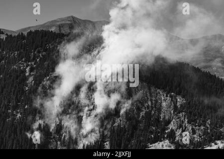 Feux de forêt à Villemartin, Savoie, 27 juillet 2022 Stockfoto