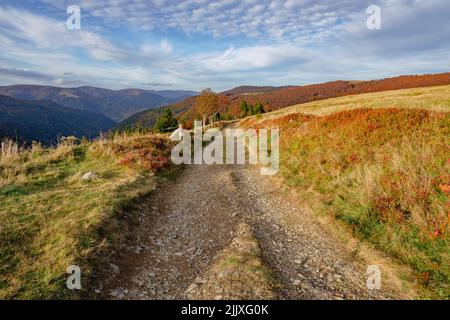 Herbstlandschaft mit Blick auf die herbstbunten Bäume in den Vogesen, Stockfoto