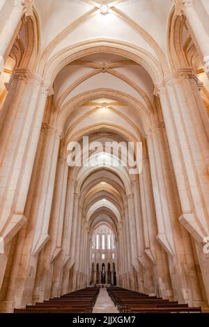 Das hohe und beeindruckende Kirchenschiff im Kloster und Weltkulturerbe Mosteiro de Alcobaca, Portugal Stockfoto