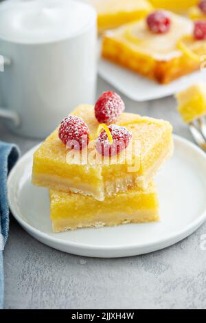 Hausgemachte Zitronenriegel mit Puderzucker und Himbeeren Stockfoto