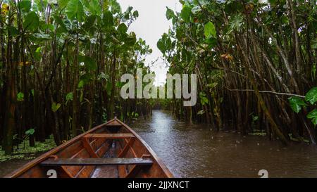 Amazonas Regenwälder Wasserweg Stockfoto