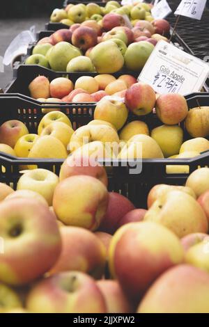 Eine vertikale Aufnahme des Apfelstapels auf dem Union Square Greenmarket in New York, USA Stockfoto