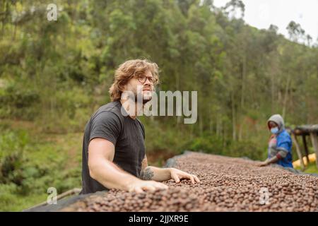 Junger Mann, der auf einer Kaffeefarm arbeitet, anaerobe Behandlung Stockfoto