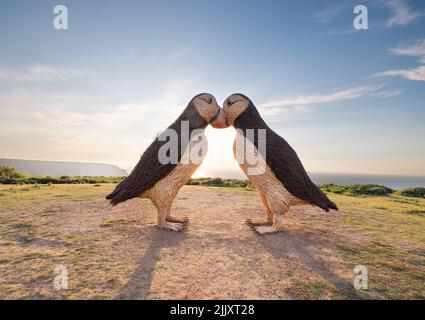 Papageientaucher Jersey zwei große gewebte Papageientaucher wurden in Jersey enthüllt. Die Kreationen, aus geschmiedetem Stahl und Weide, Stockfoto