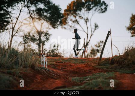 Ein Hund auf rotem Grund, im Hintergrund ein kenianischer Läufer, der trainiert. Sport in Afrika, Marathontraining, Illustration Foto Stockfoto