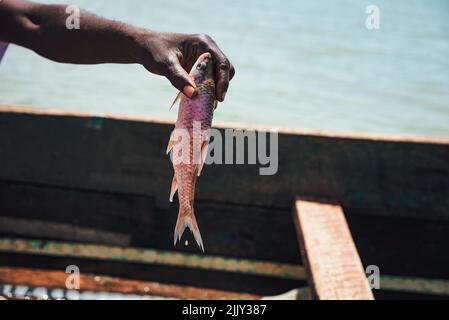 Ein Mann aus Afrika hält einen Fisch in den Händen. Die Fischerei in Kenia ist ein Lebensunterhalt für Afrikaner, die nach Lebensmitteln fischen. Hunger in Afrika, Illustration Foto Stockfoto