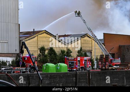 Roeselare, Belgien. 28.. Juli 2022. Feuerwehrleute, die am Donnerstag, dem 28. Juli 2022, am Ort eines Brandes bei der Abfallwirtschaftsfirma Sidegro in Roeselare abgebildet wurden. BELGA FOTO DAVID CATRY Kredit: Belga Nachrichtenagentur/Alamy Live News Stockfoto