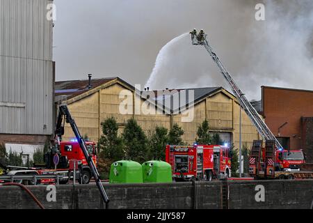 Roeselare, Belgien. 28.. Juli 2022. Feuerwehrleute, die am Donnerstag, dem 28. Juli 2022, am Ort eines Brandes bei der Abfallwirtschaftsfirma Sidegro in Roeselare abgebildet wurden. BELGA FOTO DAVID CATRY Kredit: Belga Nachrichtenagentur/Alamy Live News Stockfoto