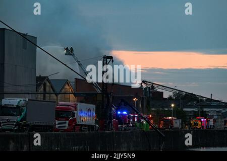 Roeselare, Belgien. 28.. Juli 2022. Die Abbildung zeigt den Brandort des Abfallwirtschaftsunternehmens Sidegro in Roeselare am Donnerstag, den 28. Juli 2022. BELGA FOTO DAVID CATRY Kredit: Belga Nachrichtenagentur/Alamy Live News Stockfoto