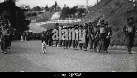 Dieser Hund hat ***** angegriffen märz bis zum 2/17 ***** Im ***** Führt der Mann 2/17 führt ***** Heute. 26. August 1940. Stockfoto