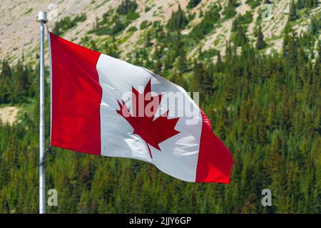 Kanadische Flagge winkt im Wind mit Rocky Mountains Kiefernwald, Kanada. Stockfoto