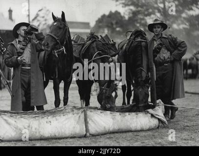 ***** Oder Mensch und Tier nach einer Langlauffahrt vom Wallgrove Camp zum Parramatta Park. Leichte Reiter bewässern ihre Pferde im Parramatta Park mit tragbaren Canvas-Trögen, während sie darauf warten, die Parade durch den Boden zu starten. 25. März 1940. Stockfoto