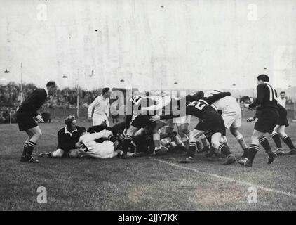 Scrambling in A Scrum -- Alle, die in einem rauen und trostlosen Scrum zusammengeschleckt sind, sind heute (Samstag) Mitglieder des All Blacks Rugby-Teams (in dunklen Shirts und Shorts) und eines Southern Counties Fifteen im Brighton and Hove Stadium, Brighton, Sussex. Es war das erste Spiel der Neuseeland All Blacks 1953-4 Tour, die sie mit 24 Punkten auf Null gewann. 31. Oktober 1953. (Foto von Reuterphoto). Stockfoto