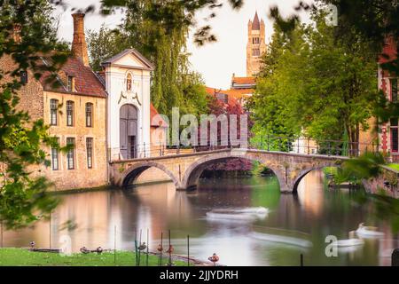 Verschwommene Schwäne auf Brügge-Kanalgewässern mit Reflexion, Belgien Stockfoto