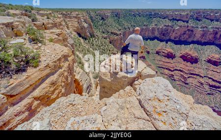 Ein Mann, der auf einer Klippe mit Blick auf den South Kaibab Trail östlich von Yaki Point am Grand Canyon Arizona steht. Stockfoto