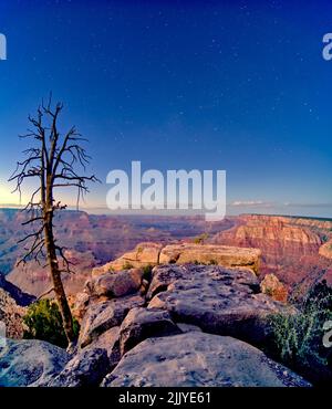 Grandview Point am Grand Canyon während der Dämmerung mit den Sternen über uns. Stockfoto