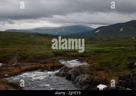 Ein Bach entlang des Wanderweges zwischen den Bergstationen Storulvan und Blahammaren in Jamtland, Schweden, an einem regnerischen Julitag. Stockfoto