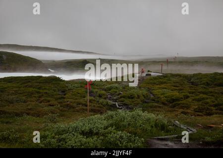 Flecken von Schnee, die Nebel auf dem Wanderweg zwischen den Bergstationen Storulvan und Blahammaren, Jamtland, Schweden, erzeugen Stockfoto