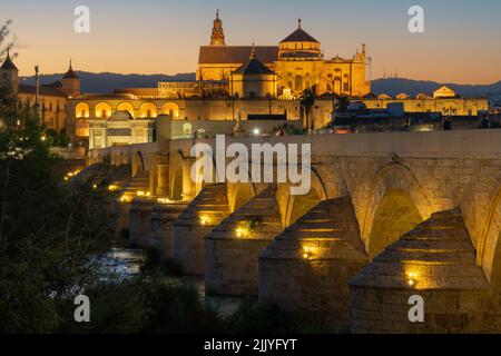 Römische Brücke, Cordoba, Spanien, nachts in goldenem Licht gebadet. Blick von unten Brücke mit der Mezquita Kathedrale im Hintergrund. Stockfoto