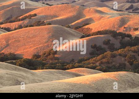 Sanfte Farben Des Sonnenuntergangs Malen Die Kalifornischen Goldenen Hügel. Mission Peak Regional Preserve, Alameda County, Kalifornien, USA. Stockfoto