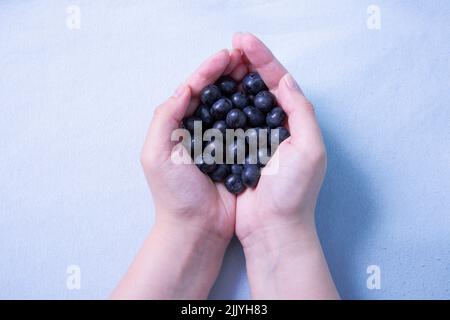 Eine Handvoll Heidelbeeren in weiblichen Händen auf einem violetten Hintergrund Stockfoto