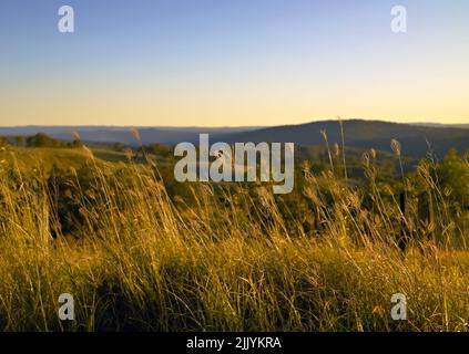 Ländliche Landschaft von Killarney sanfte Hügel - am späten Nachmittag Stockfoto