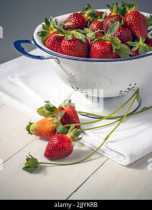 Frisch gepflückte Erdbeeren im emaillierten Sieb auf dem Tisch Stockfoto