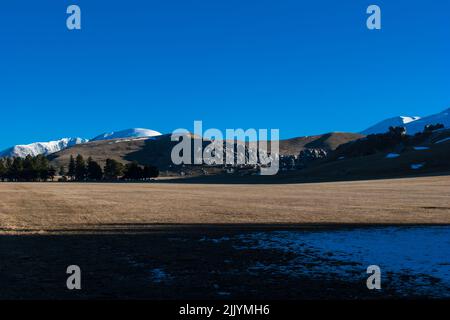 Ein Blick auf das Leben in Neuseeland: Alpine Landscape, South Island, Neuseeland: Porter's Pass. Stockfoto