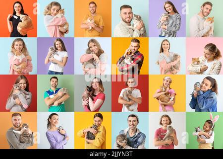 Set von Menschen mit lustigen Katzen auf farbigem Hintergrund Stockfoto